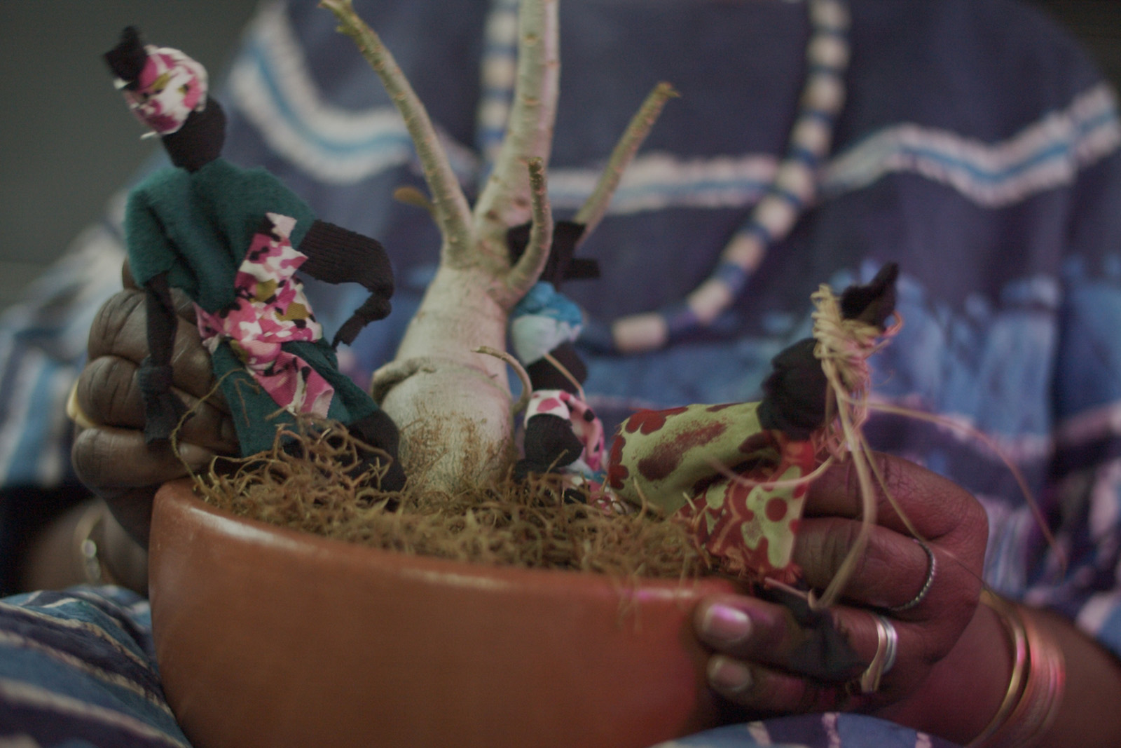 “Baobab”, filme de Bea Gerolin, é sobre apagamentos, ancestralidade e trocas