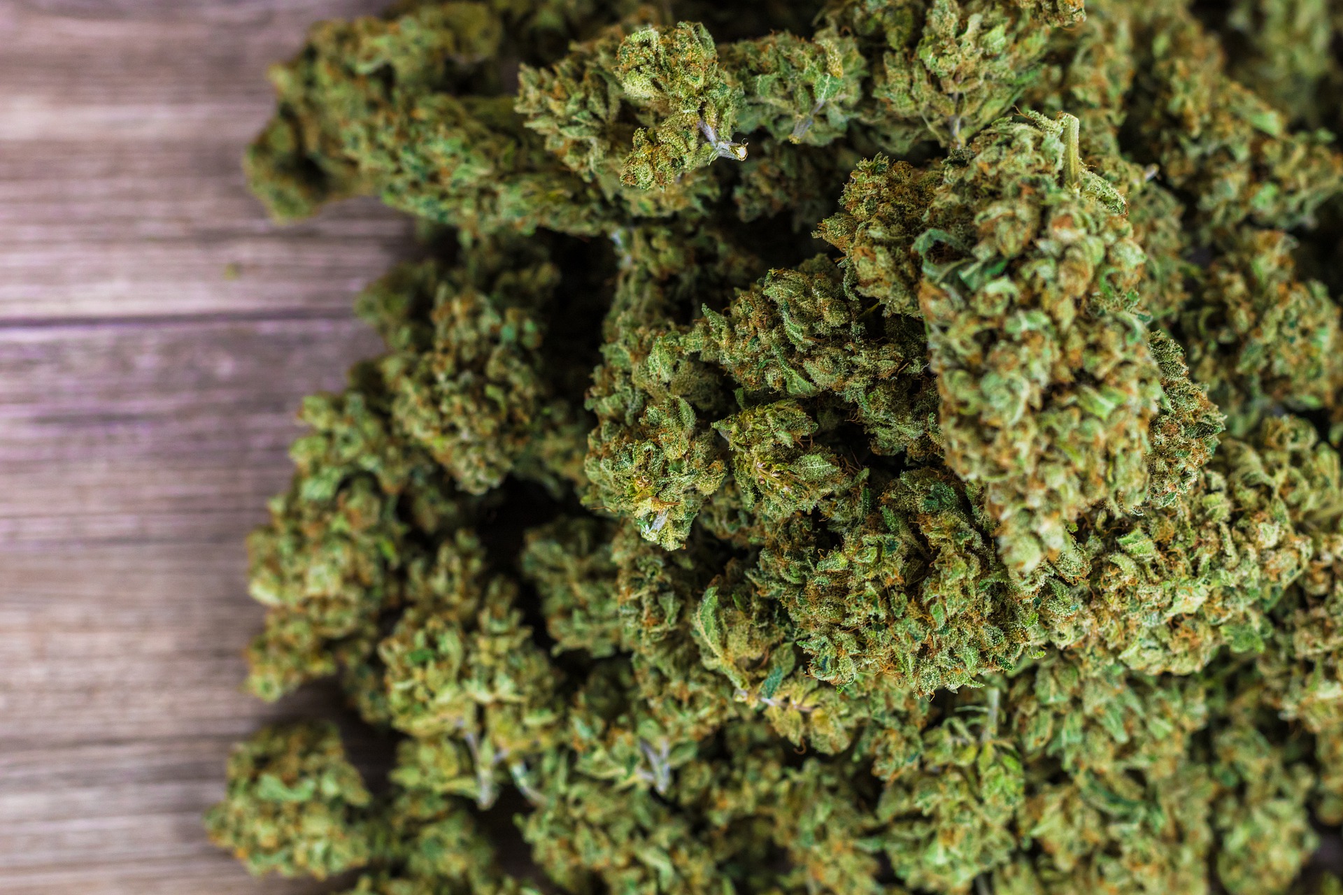 Podcast explica tudo sobre a liberação do uso de maconha