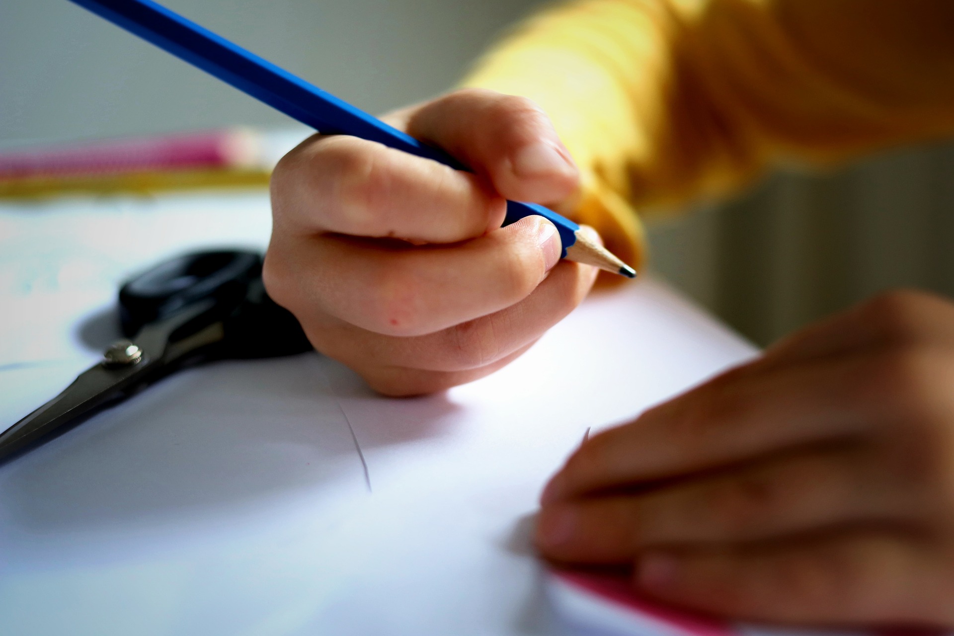 Dados mostram por que e quem quer comprar escolas públicas