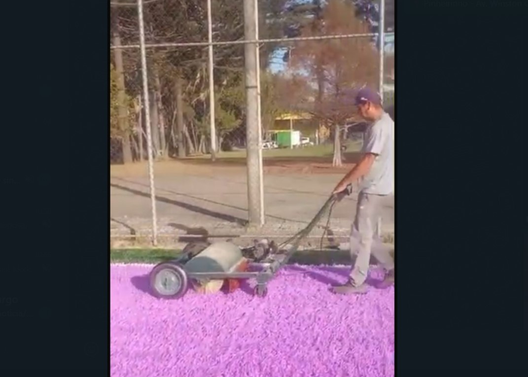 Prefeitura de Curitiba inaugura quadra com grama lilás para mulheres