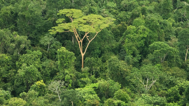 TJPR busca solução amigável em conflito entre fazendeiros e indígenas no Oeste do Paraná