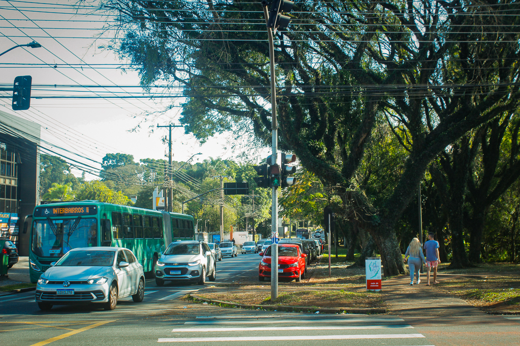 Audiência pública discute destino das Árvores da Arthur Bernardes