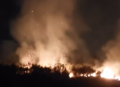 Incêndio atinge área ocupada por indígenas em Piraquara; suspeita é de ação criminosa