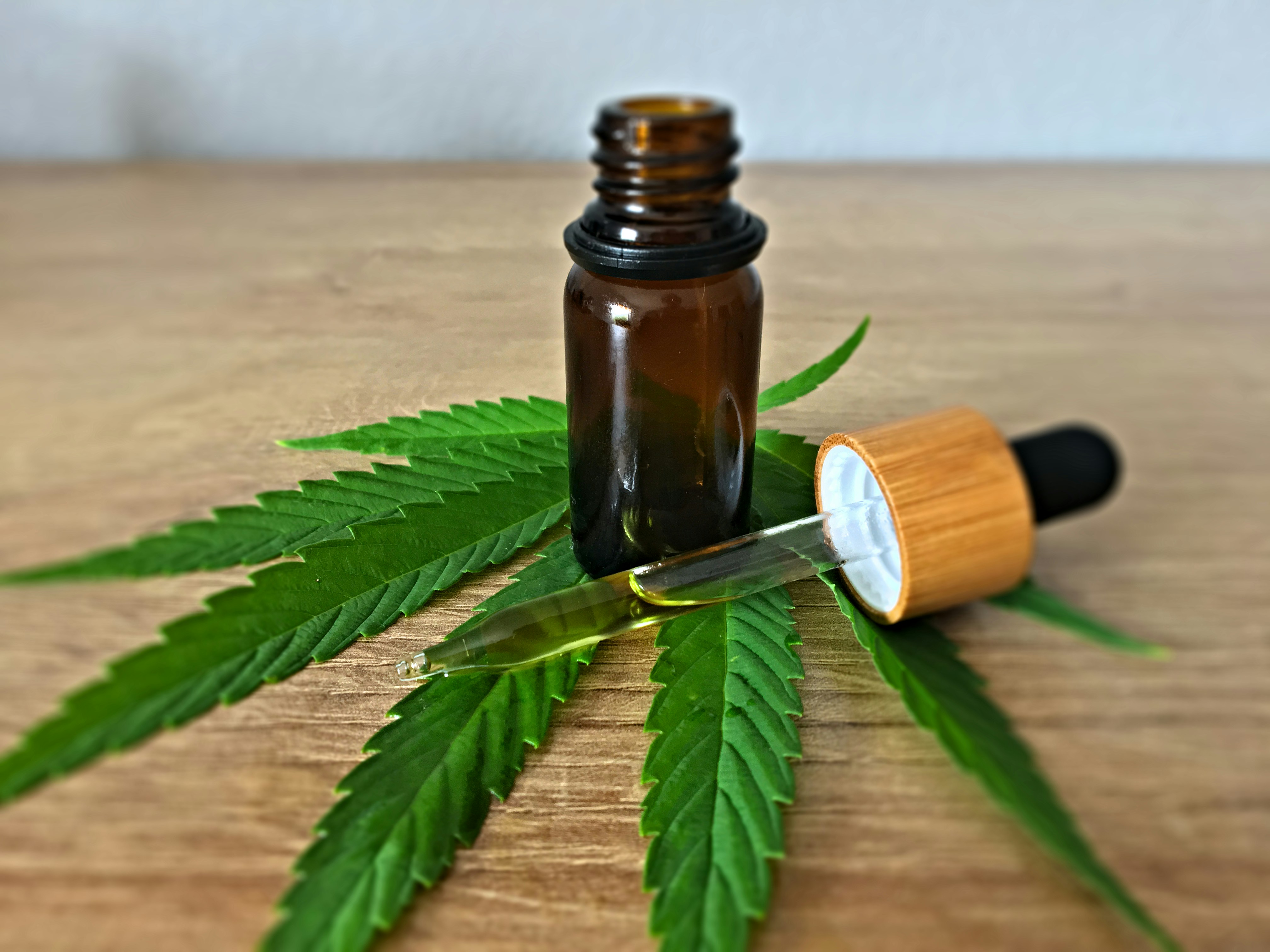 Em decisão histórica, STJ autoriza cultivo de cannabis  para fins medicinais no país