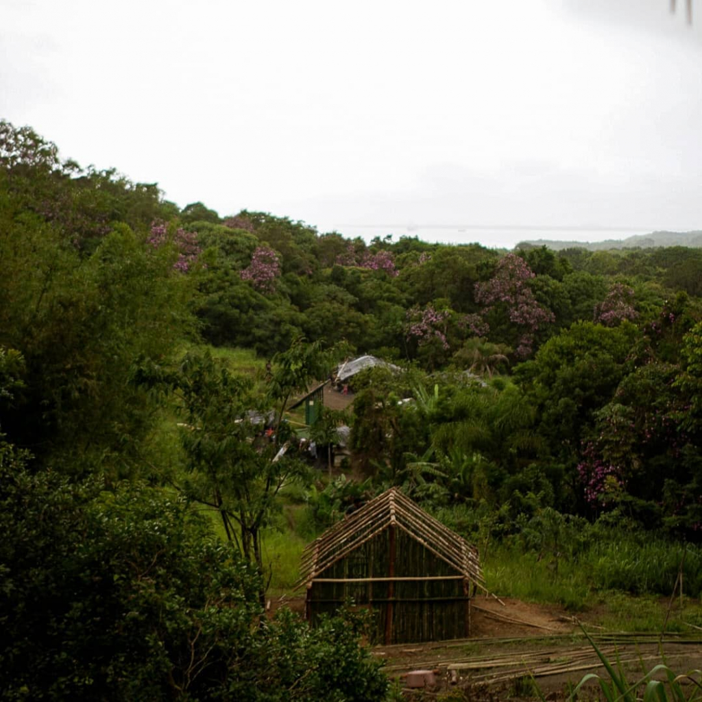 Indígenas da Tekoa Takuaty, no Paraná, abrem aldeia para visitação por três dias