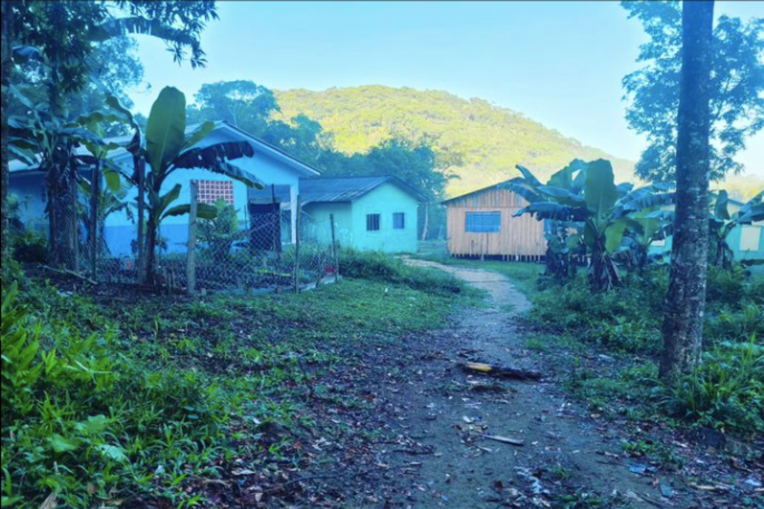 Aldeia no litoral do Paraná precisa de alimentos; veja como ajudar