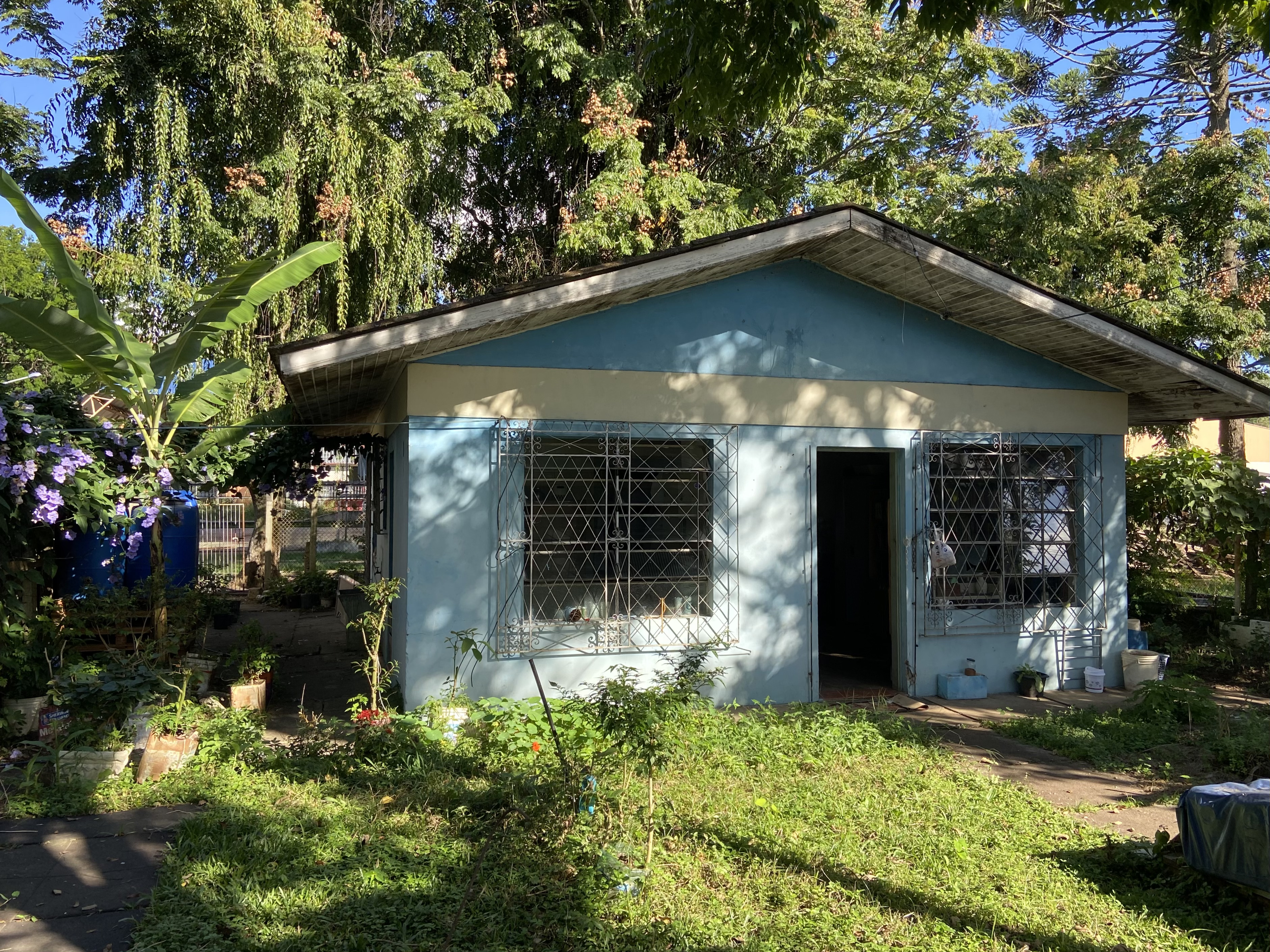 Conheça o Jardim Secreto, espaço que transformou a aprendizagem na Vila Torres
