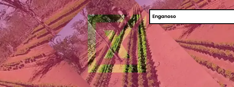 Post engana ao associar ao MST plantação de maconha na Bahia