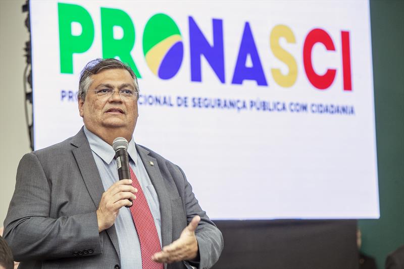 ministro flavio dino