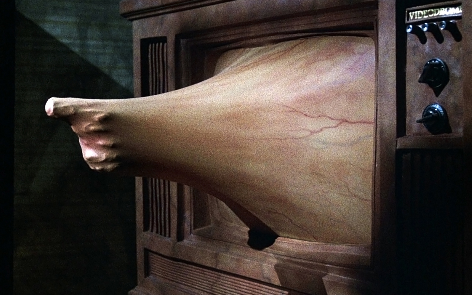 Olhar de Cinema exibe "A mosca" e mais seis filmes de David Cronenberg