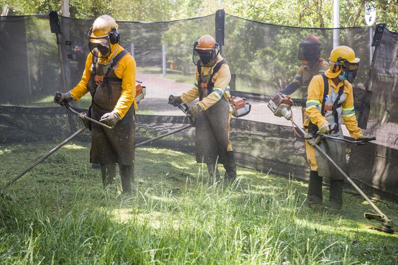 Multas para proprietários de terrenos baldios de Curitiba vão subir 32%