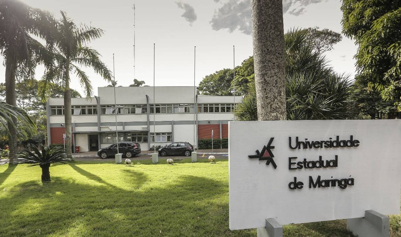 Universidades estaduais abrem inscrições para contratação de 220 professores